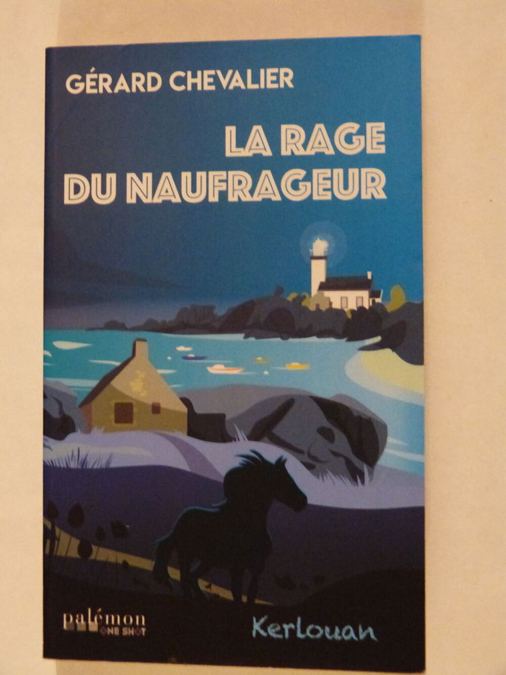LA RAGE DU NAUFRAGEUR roman policier BRETON PALEMON Livres et BD