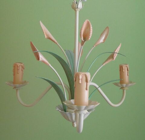 Lustre fleuri 10 Massy (91)