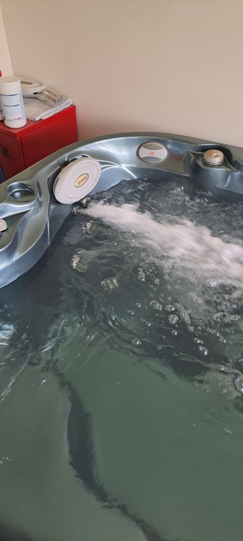  SPA JACUZZI J 415 Jardin