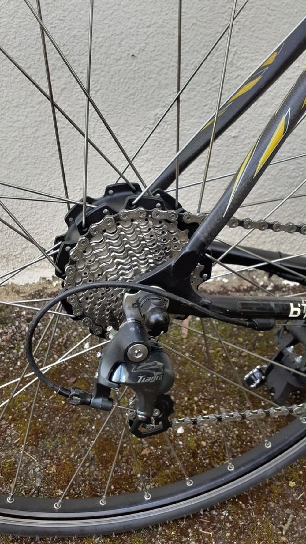 v&eacute;lo B twin avec roue &eacute;lectrique Vélos