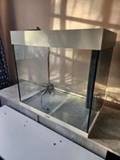   Aquarium blanc 136L meuble  