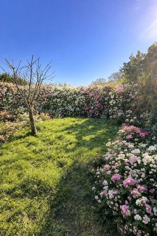  Maison � louer 3 pi�ces 80 m� Orl�ans