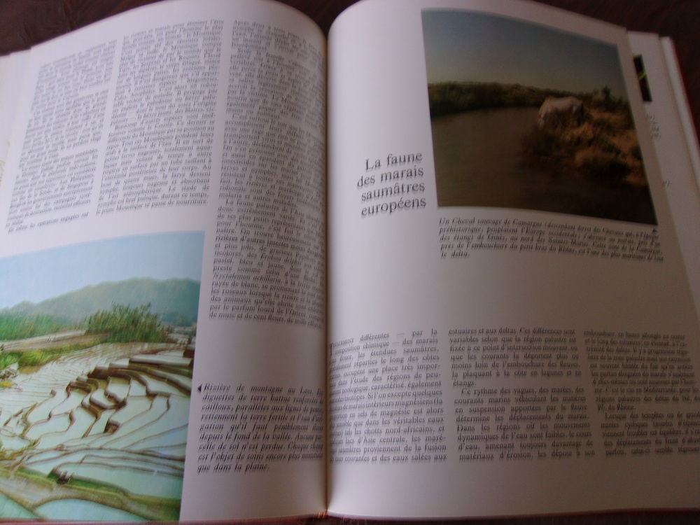 ENCYCLOPEDIE ILLUSTREE 5 VOLUMES DU MONDE ANIMAL Livres et BD