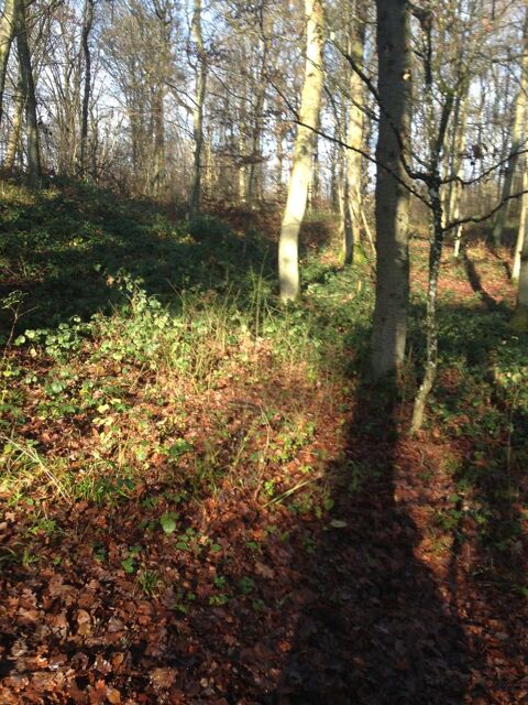 Parts de chasse 57 1500 Nancy (54)