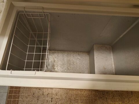 Cong�lateur coffre Baie-Mahault (97)