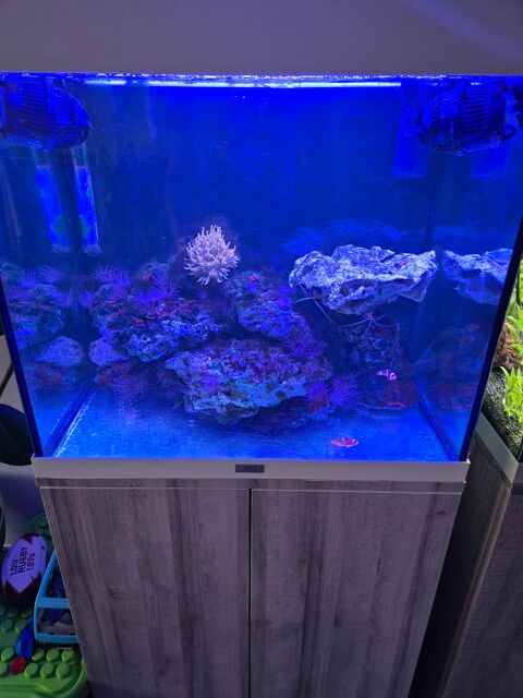 Aquarium eau de mer complet 300 38260 Penol