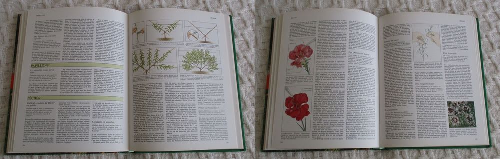 TOUT REUSSIR AU JARDIN 1000 QUESTIONS 1000 REPONSES Livres et BD