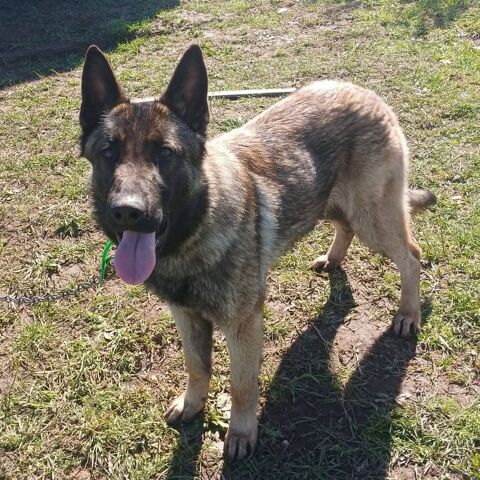 Aika 200 26100 Romans-sur-is�re