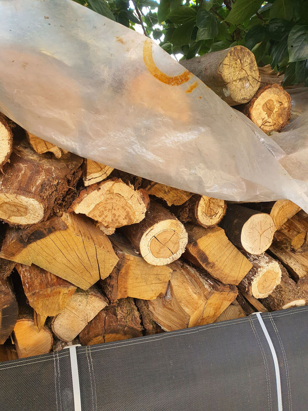 Bois de chauffage Jardin