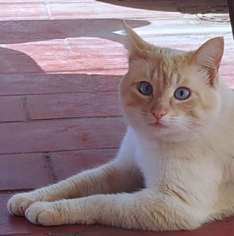 LAUU 230 27620 Gasny