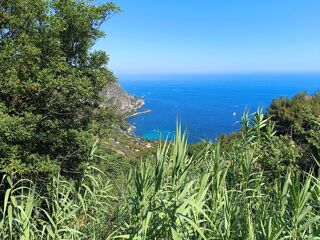  Terrain  vendre 500 m