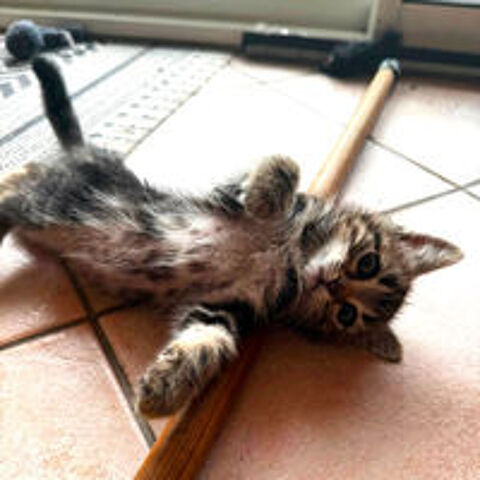   JAVA 