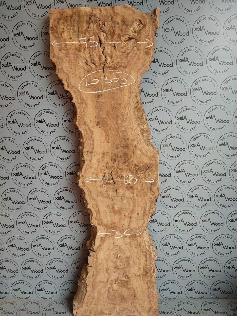 Rare plateau de loupe d'orme bois brut Bricolage
