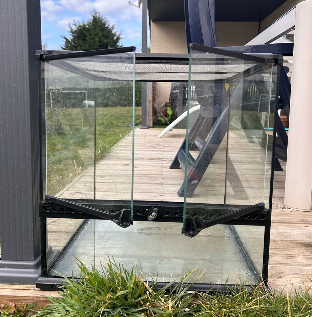 Terrarium en verre Décoration