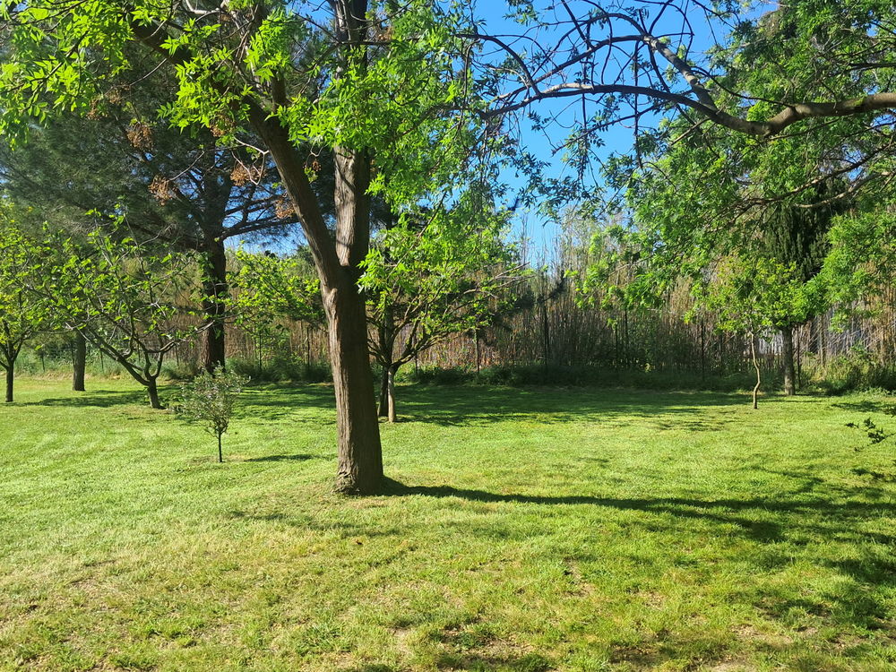 Vente Terrain Terrain de loisirs 3000 m2 