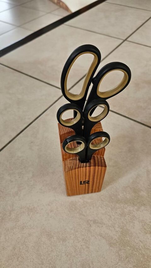 CISEAUX 10 Viviers-du-Lac (73)