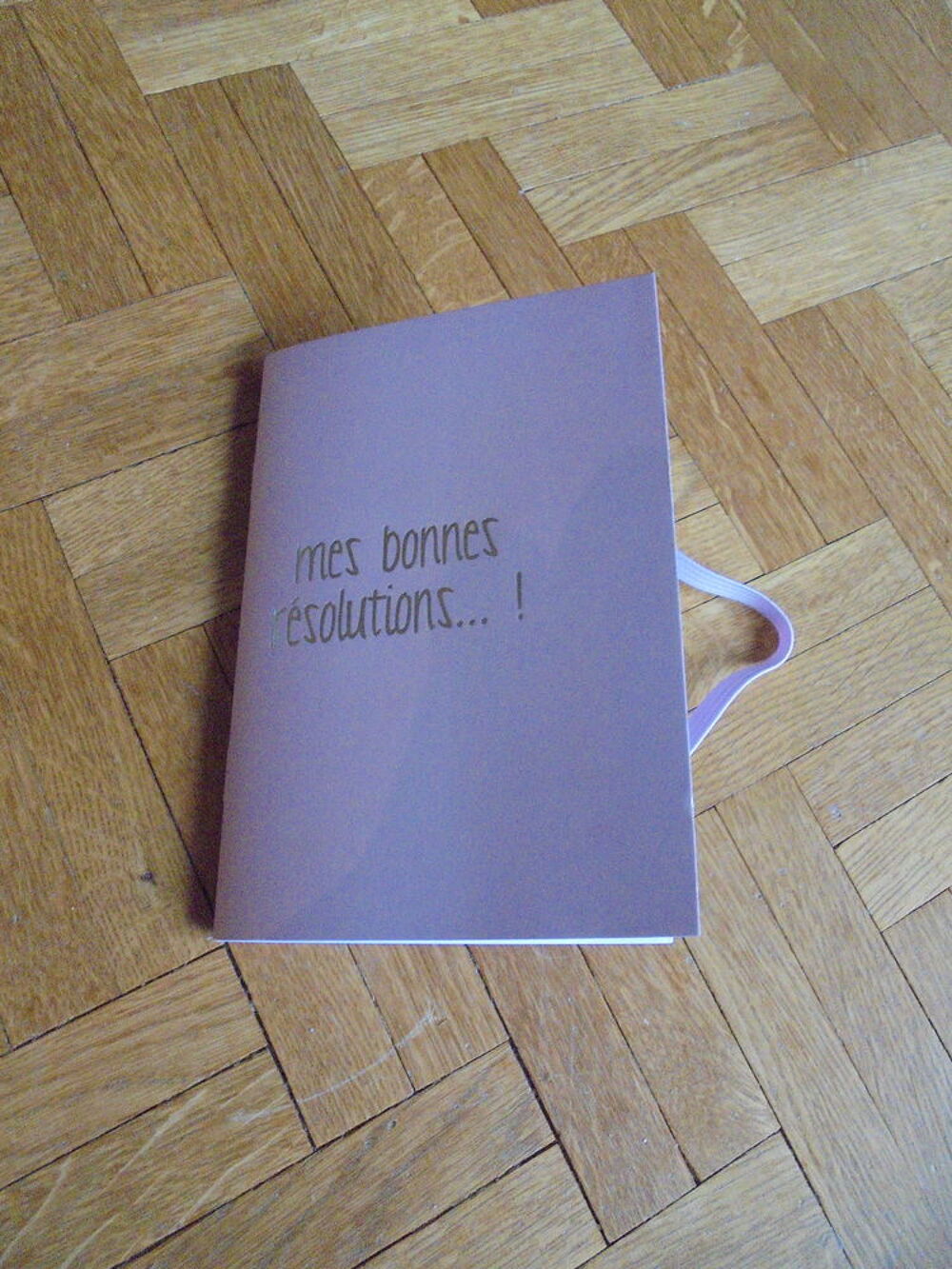 Carnets "Mes bonnes r&eacute;solutions... !" (45) Jeux / jouets