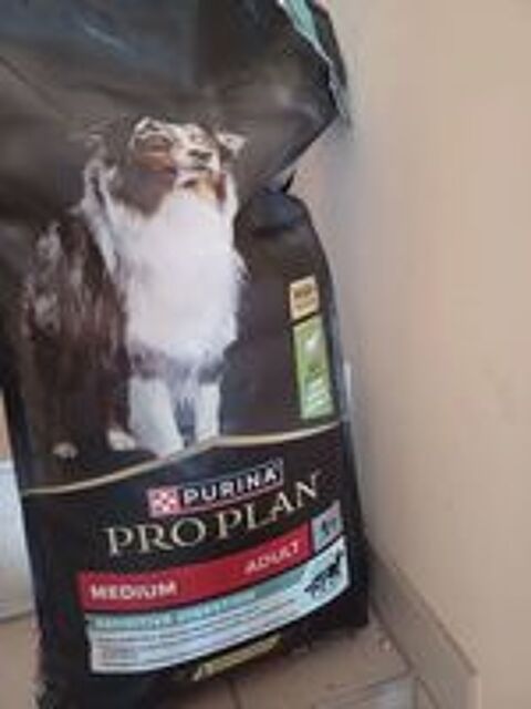   container avec sac croquettes Proplan 