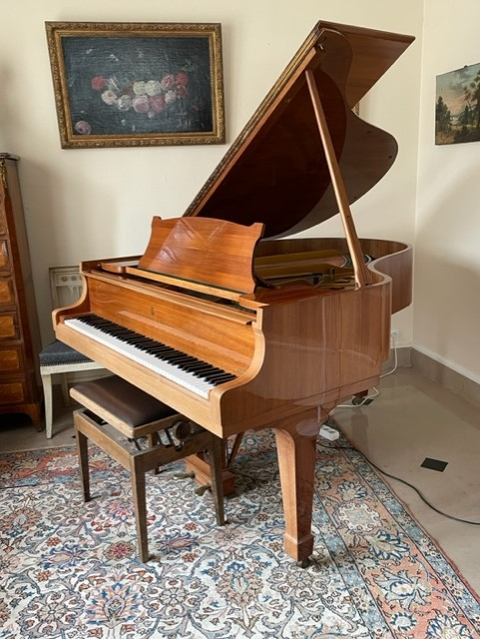Piano à queue Steinway 1967 22500 Bois-d'Arcy (78)
