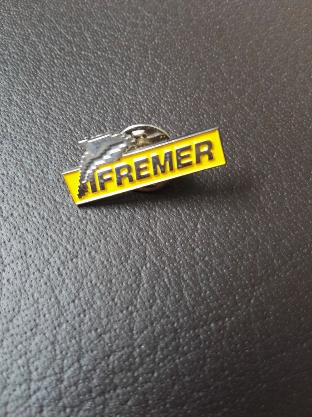 pin's IFREMER 