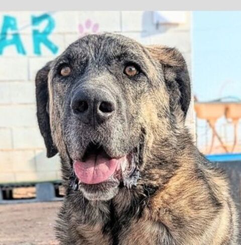 THOR 320 27620 Gasny