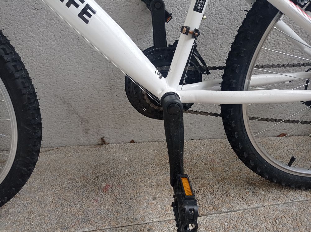 Achetez v lo 24 pouces mixte occasion annonce vente Ramonville