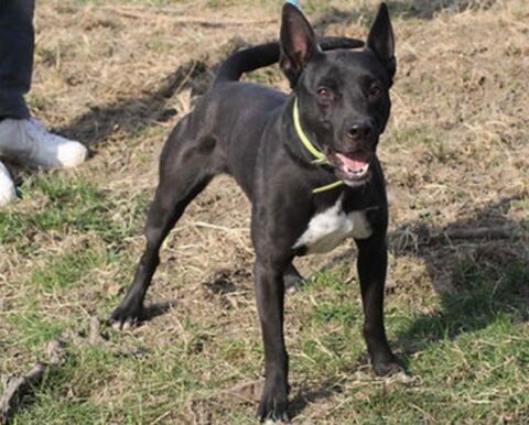 Kika 230 26700 Pierrelatte