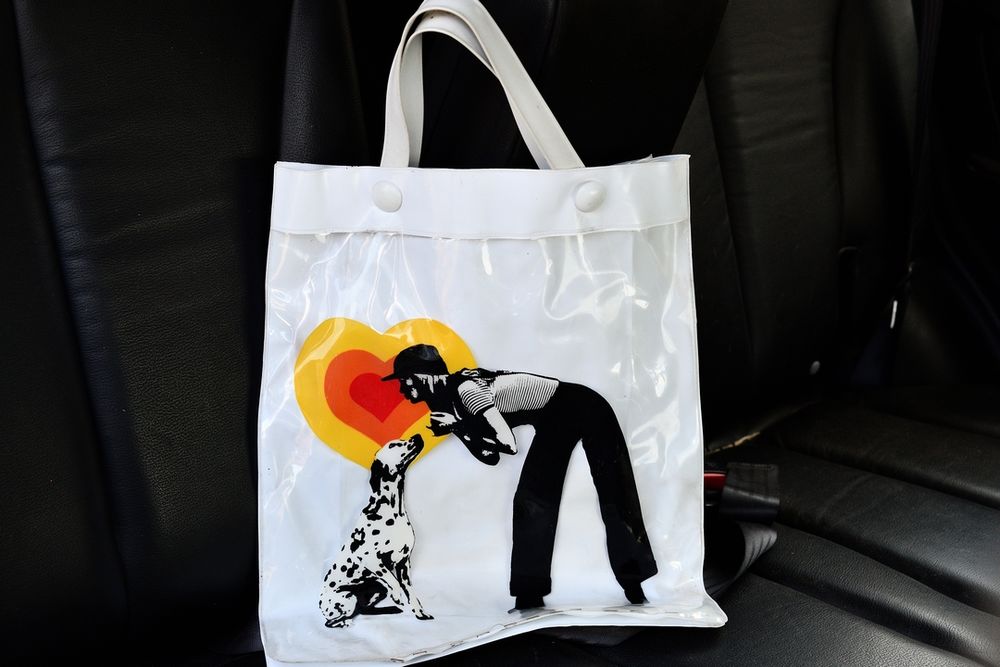 ensemble de 2 sac de randonn&eacute; Maroquinerie