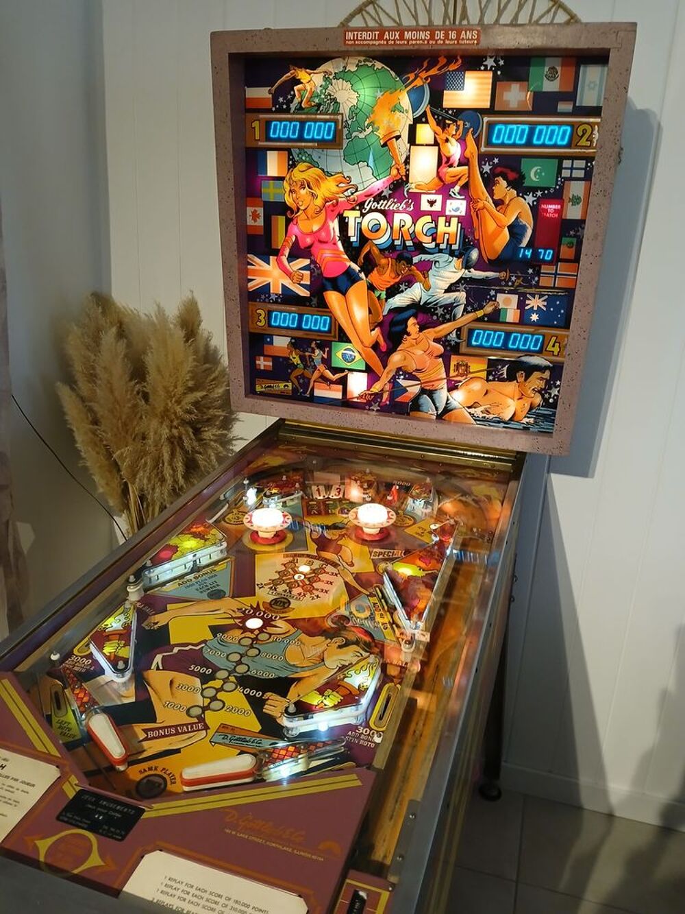 Achat cash en esp&egrave;ces flipper en panne ou a restaurer Consoles et jeux vidéos