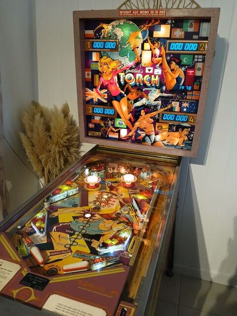 Achat cash en espèces  flipper en panne ou a restaurer 50 Les Sables-d'Olonne (85)