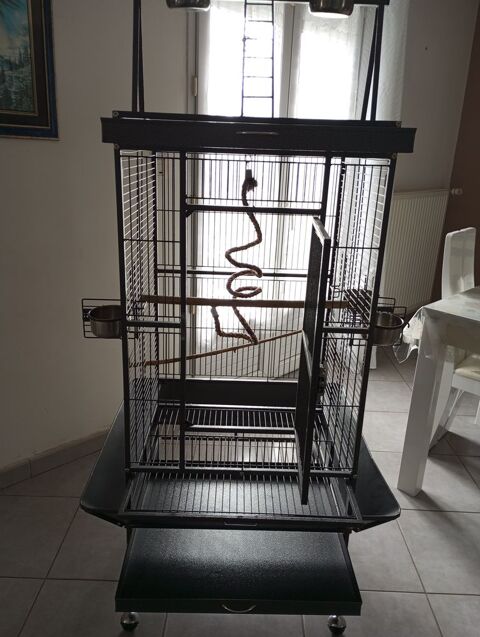 Cage pour oiseaux  80 49800 Brain-sur-l'authion