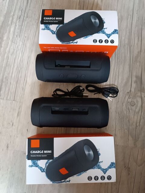 Mini Enceintes sans Fil Format 9 Latrape (31)