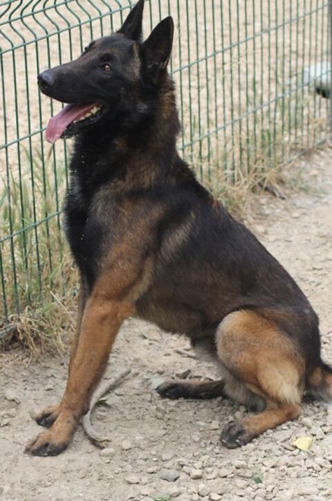 Tiago 230 26700 Pierrelatte