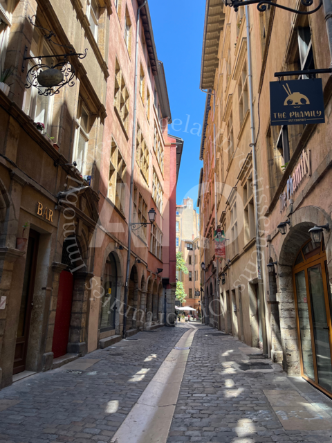 Ensemble immobilier &agrave; Lyon 5 : Murs commerciaux + Trois studios 828000 69005 Lyon