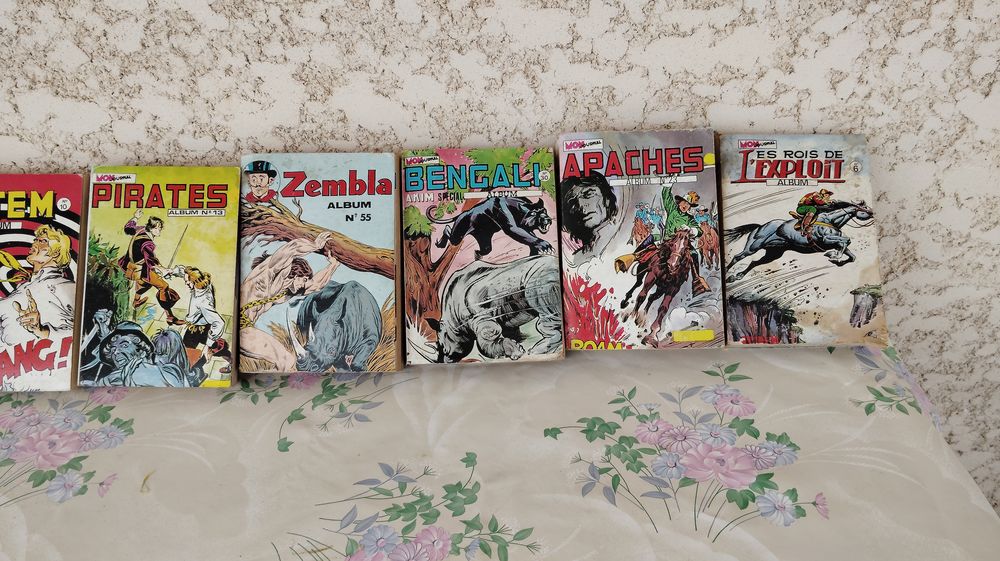 Divers 46 Albums Bandes Dessin&eacute;es Livres et BD