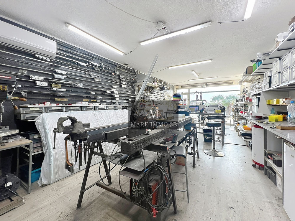 Vente Investisseur MURS COMMECIAUX Calvi