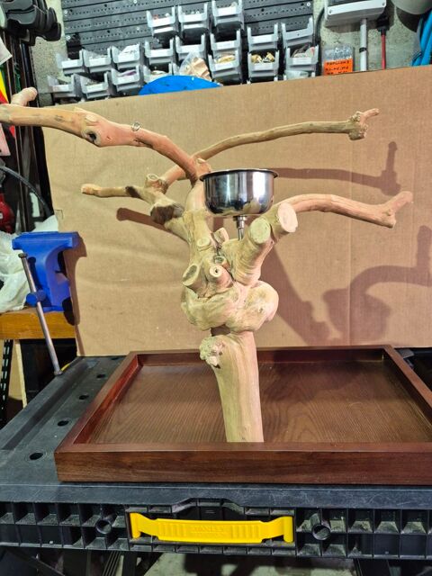 Arbre de Java small et medium pour perruche / perroquet 250 40200 Mimizan