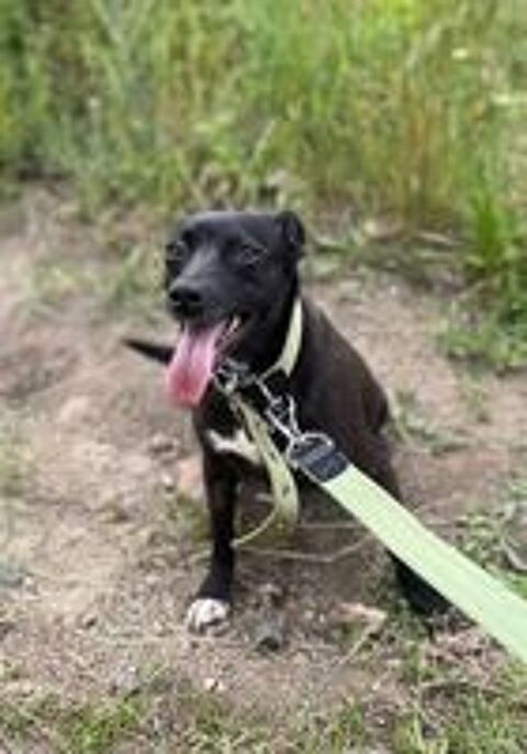   LOLA SE TROUVE DANS UN REFUGE EN UKRAINE 