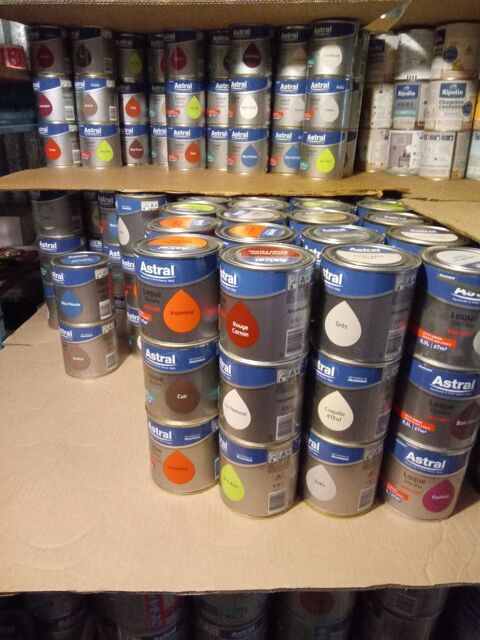 peinture glyc�ro 1/2L couleur ex in rendement  7M carre 5 Aubagne (13)