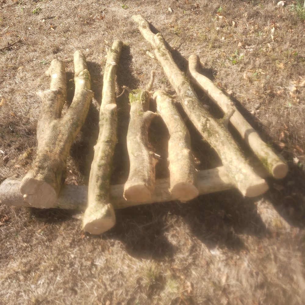 BUIS / BAMBOUS / NOYER Bricolage