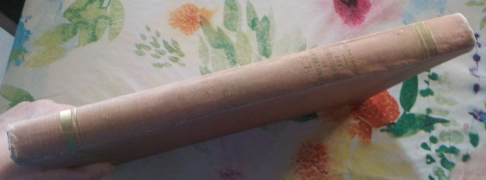 LES AVENTURES DE Mr PATUREL N&deg;1 &agrave; 50 1929 de ARNOULD GALOPIN Livres et BD