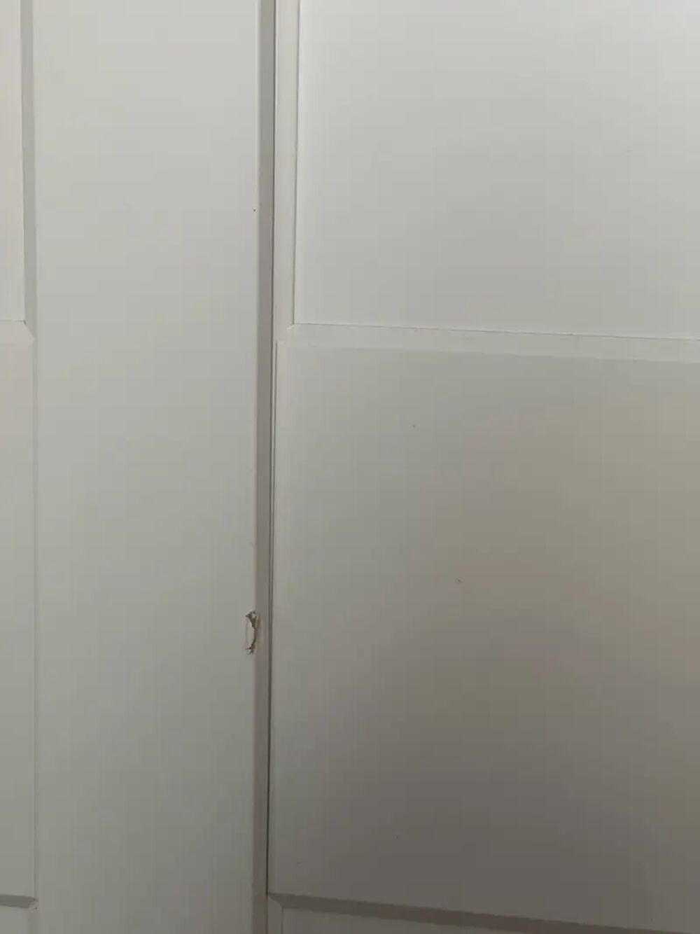 Armoire / Placard 2 portes Meubles