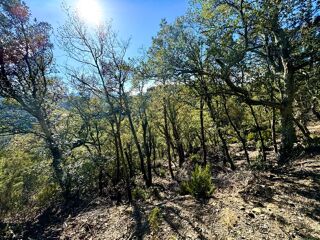  Terrain  vendre 15060 m