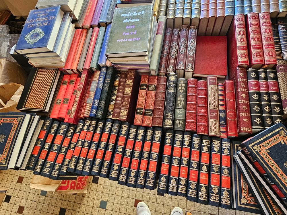 gros lot de livre de bibliotheque a saisir Livres et BD