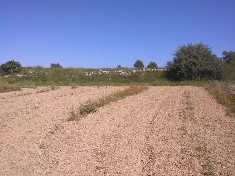 Location Terrain Terrains de loisir clôturés sur Lespignan Lespignan