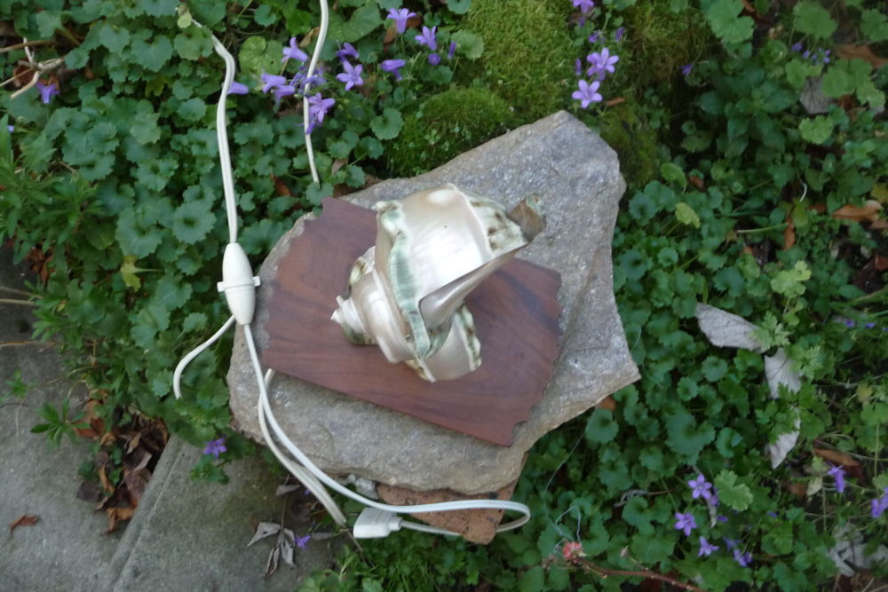 lampe coquillage D�coration