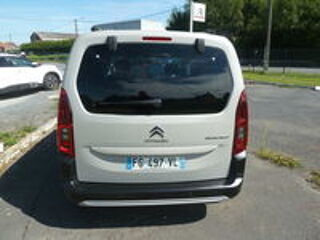 Berlingo Taille M BlueHDi 130 S&S BVM6 Shine 2019 occasion 59530 Le Quesnoy