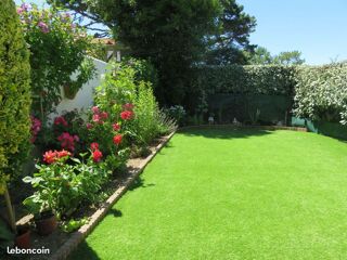 Location  Appartement 