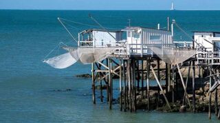 Location  Maison - Villa 