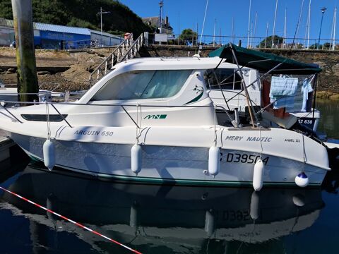 Bateaux &agrave; moteur P&ecirc;che-promenade 2007 occasion N&eacute;vez 29920